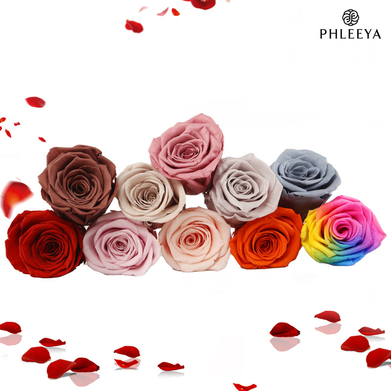 6pcs Eternal Rose Flower Heads - Wedding Supply In Bulk 评论和价格